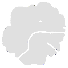 ferro logo